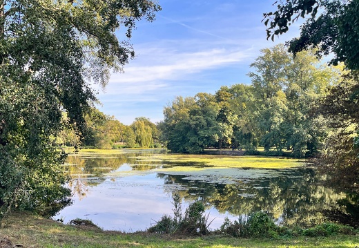 23-09-25 11-56-45 7419